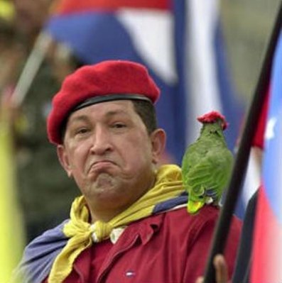 Fake files target Hugo Chavez