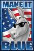 Democratic Campaigns