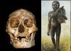 Anthropology
