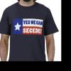 Secession