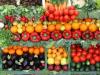 Canning - Food Storage Preparation